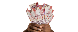 Image of hand holding money
